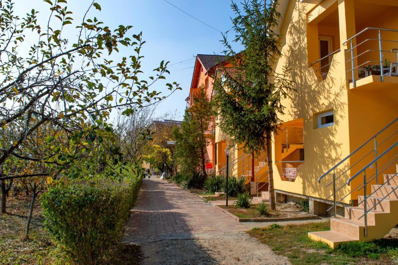 Pensiunea Carmena Băile Felix Exteriér fotografie
