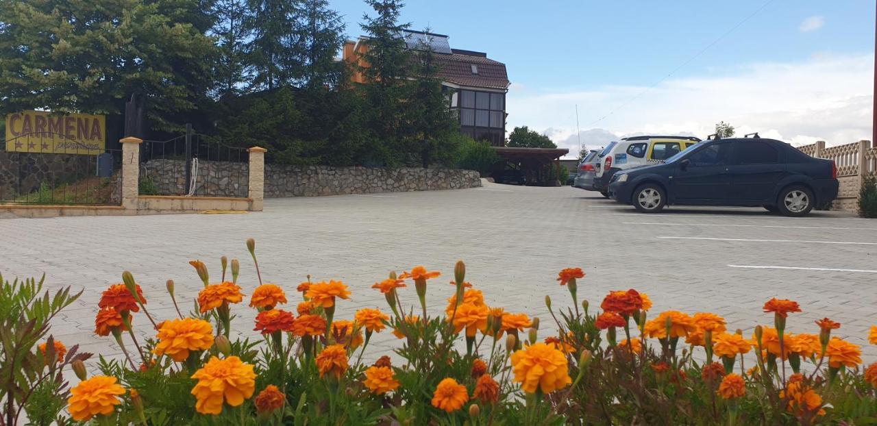 Pensiunea Carmena Băile Felix Exteriér fotografie
