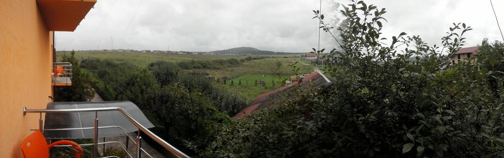 Pensiunea Carmena Băile Felix Exteriér fotografie